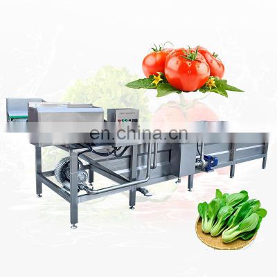 Multifunctional Tomato Ginger Air Bubble Dried Rinsing Cleaner High Pressure Surf Type Fruit Wash Machine