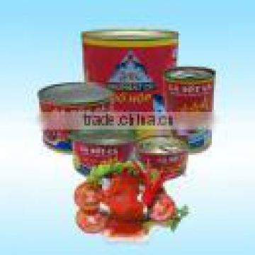 307 x 111 cm Sardine In Tomato Sauce Canned Fish
