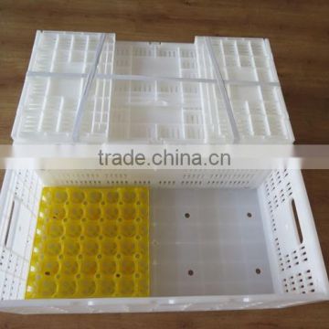 Euro Norm PP plastic folding egg crate