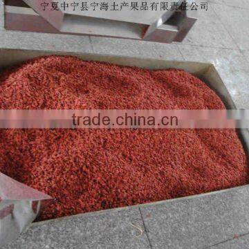 NINGXIA RED GOJI