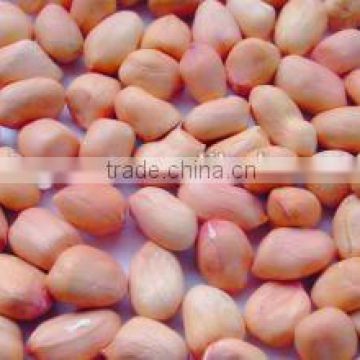China peanut kernels baisha with best price