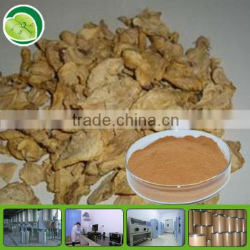 Natural high quality maca extract maca herb