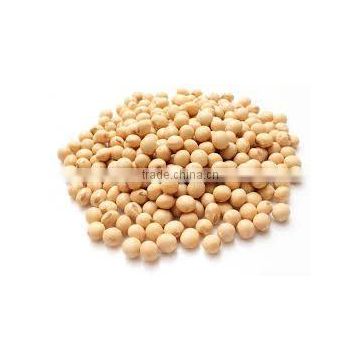 Soyabean Seeds (Whole & Oil)