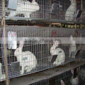 Layer Rabbit Cage Wire
