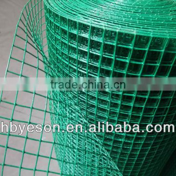 welded wire mesh(factory-low price)