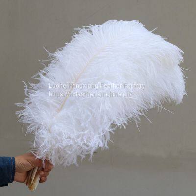 Natural 10-75cm artificial Ostrich Feather for party and wedding decoration