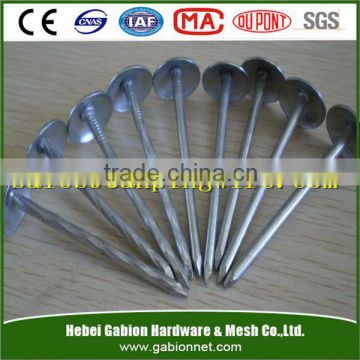 BWG9-13 umbrella head plain shank roofing nails