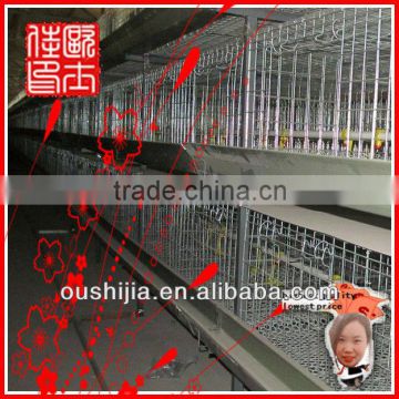 broiler battery cage(manufactory)