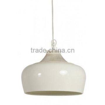 Niche Shade Light for Home Decoration / Ceiling Pendant Lamp