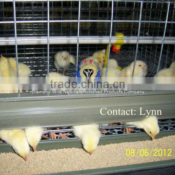 Africa Anti-rust Electro Galvanized Poultry Farming Chicken Layer Cages