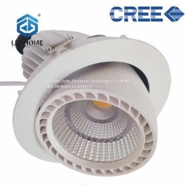 Adjustable CREE COB LED Spot Downlight
