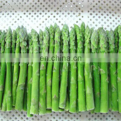 BRC Certified IQF Frozen Green Asparagus