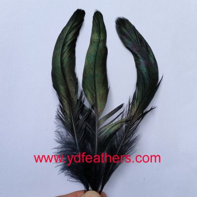 Dyed Black Rooster/Coque/Cock tail feather for wholesale from China
