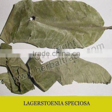 LAGERSTROEMIA SPECIOSA EXTRACT