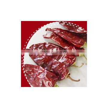 dried red chilli paprika