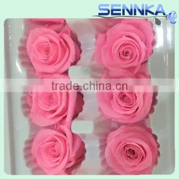 Real natural preserved flower wholesale preserved rose head 5-6cm diameter in 6 blooms a box