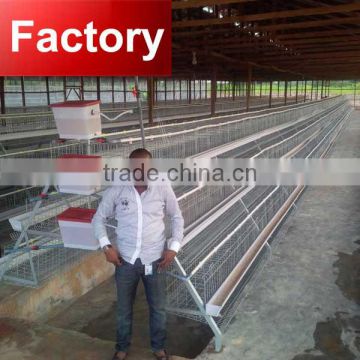 CHINA manufacturer from 1996 chicken farm equipment for layer cage