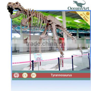 Museum quality simulation dinosaur fossil