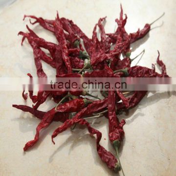 2012 Best selling of dried chili whole