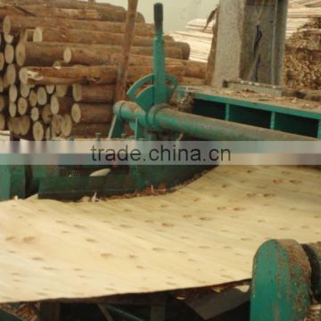 Eucalyptus core veneer furniture plywood from Vietnam