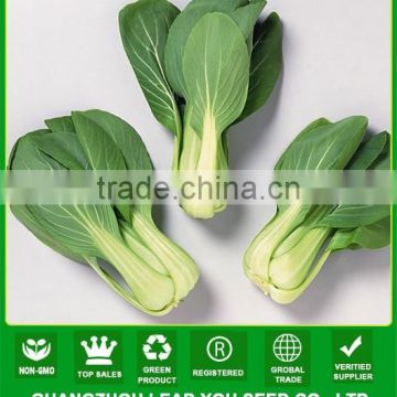 NPK10 Weiwen leaf vegetable seeds,pak choi seeds company,types of seeds