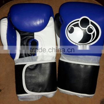 Blue Grant Boxing Gloves