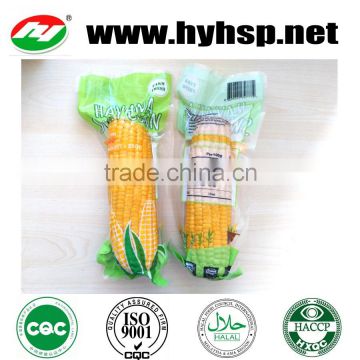 Super Sweet Corn Cob With High Quality