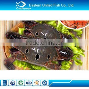 Chinese Frozen Frozen Redspot Swimming Crab