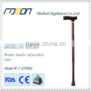 walking stick cane with sword