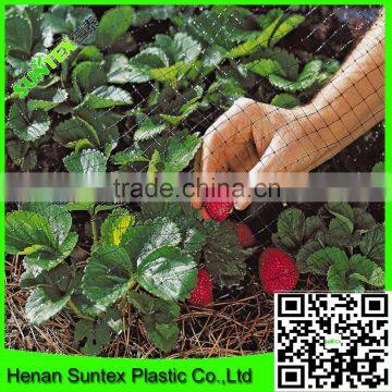 Supply 2016 100% virgin pe Extrded black anti bird net protecting strawberries from birds