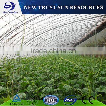 Multi-span agricultual PVC/PE greenhouse