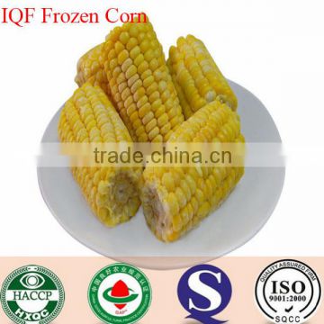IQF sweet corn kernels good price high quality