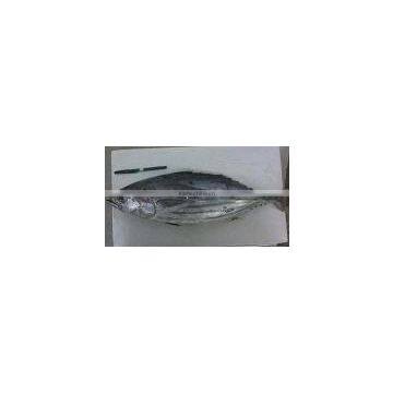 SKIPJACK TUNA