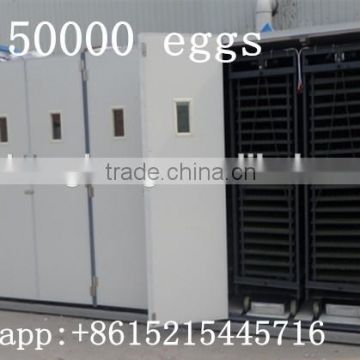 Top selling crocodile egg incubator parts for sale 50000 eggs incubator
