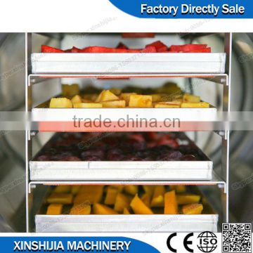 Family use small vacuum freeze dryer