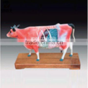 Cattle acupuncture model BIX-Y1029