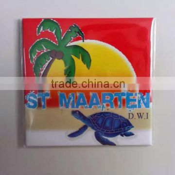 *colorful fridge magnet China supplier