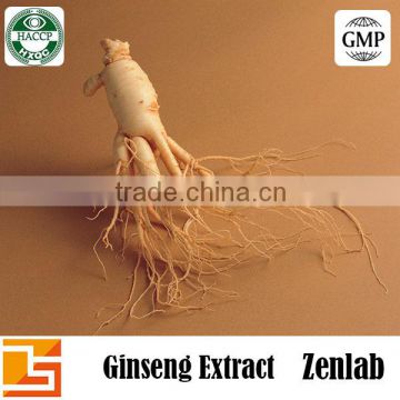 american ginseng seeds extract for american ginseng tablet