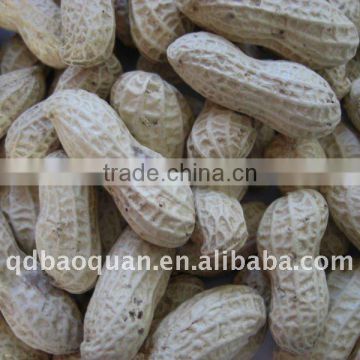 Selected Peanuts nuts