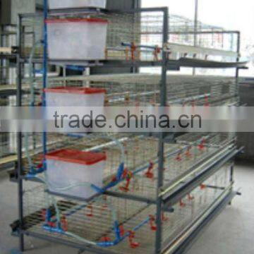 Double galvanized meat chicken cage