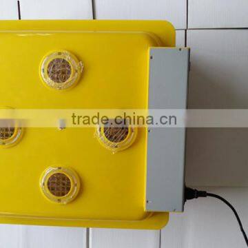 Top weekly selling quail brooder egg incubator WQ-48 For familly use