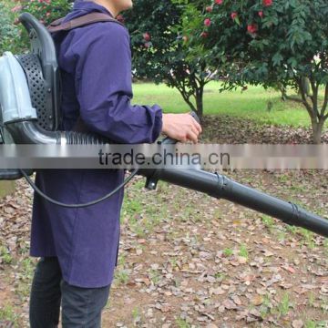 best handheld/backpack leaf blower