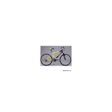 Sell Mountain Bicycle