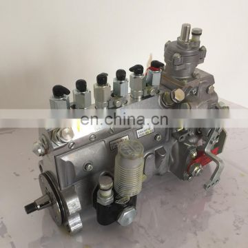 Diesel Engine DCi11 fuel injection pump 0445020012