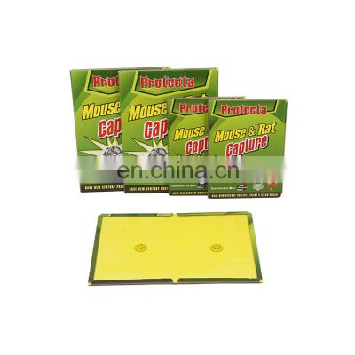 China Custom Fashion Pest Control Rat Mouse Glue Board Green Sticky Glue Traps