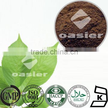 Mulberry Leaf Extract Morus Alba L. 1%DNJ tested by HPLC Beauty product powder