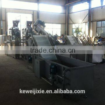 0.5 ton Pineapple production line