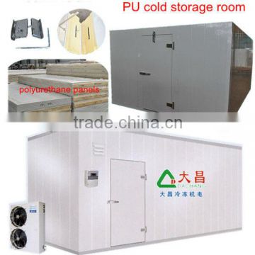 Modular standard cold storage with PU panels