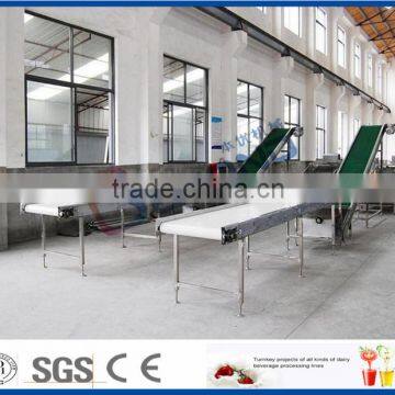 5TPH fruit belt conveyor