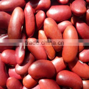 organic dark red kidney bean